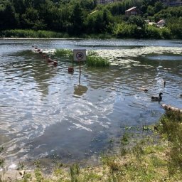 В Курске спасателей будут судить за гибель 14-летней девочки на воде