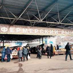 В Курске на сельхозярмарку привезли более 10 тонн продовольствия В Курске на сельхозярмарку привезли более 10 тонн продовольствия
