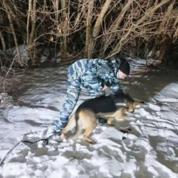 В Курском районе служебная собака спасла замерзавшего человека