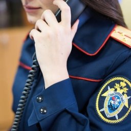 Куряне купили турпутёвки на 4 миллиона рублей, но никуда не уехали Куряне купили турпутёвки на 4 миллиона рублей, но никуда не уехали
