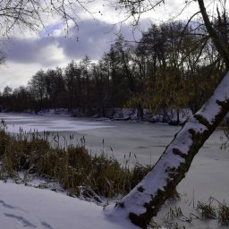 В Курской области 28 февраля ожидаются -21 градуса и туман В Курской области 28 февраля ожидаются -21 градуса и туман