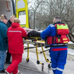 В Курской области медики осматривают эвакуированных жителей Суджанского района В Курской области медики осматривают эвакуированных жителей Суджанского района