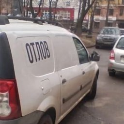 В Курске ведется работа по отлову безнадзорных собак В Курске ведется работа по отлову безнадзорных собак