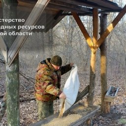 В Курской области за неделю выявили 11 нарушений Правил охоты