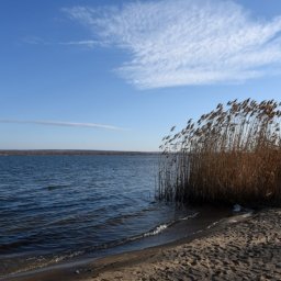 В Курской области из-за нереста ввели запрет на рыбалку В Курской области из-за нереста ввели запрет на рыбалку