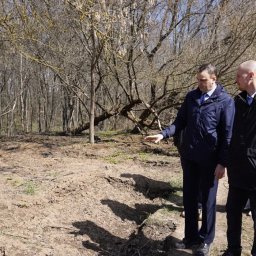 В Знаменской роще Курска могут установить памятник жертвам геноцида
