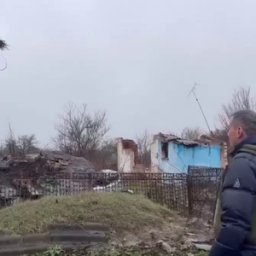 В Суджанский район возвращаются аисты