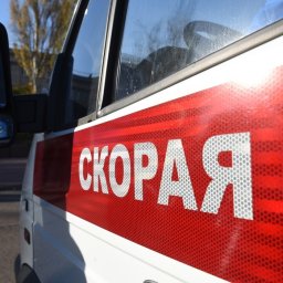 6 эвакуированным жителям Суджанского района понадобилась помощь медиков 6 эвакуированным жителям Суджанского района понадобилась помощь медиков
