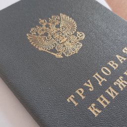 В Курской области за первый квартал 2025 года создано 789 рабочих мест В Курской области за первый квартал 2025 года создано 789 рабочих мест