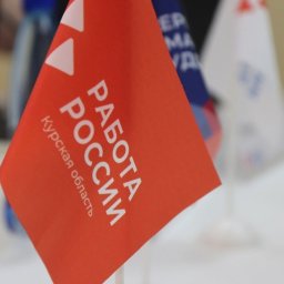 В Курской области состоялась онлайн-ярмарка вакансий В Курской области состоялась онлайн-ярмарка вакансий