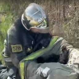 В Курской области пожарные при тушении травы спасли 7 новорожденных щенят