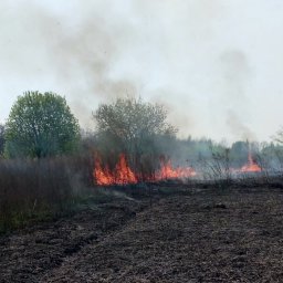В Железногорском районе Курской области три раза за вечер тушили траву В Железногорском районе Курской области три раза за вечер тушили траву