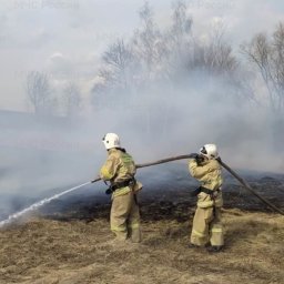 В Курской области за сутки произошло 28 пожаров В Курской области за сутки произошло 28 пожаров