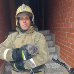 В Курске пожарные спасли кота, когда в доме загорелась стиралка В Курске пожарные спасли кота, когда в доме загорелась стиралка