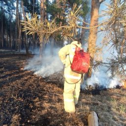В Курской области произошло 13 пожаров за сутки В Курской области произошло 13 пожаров за сутки