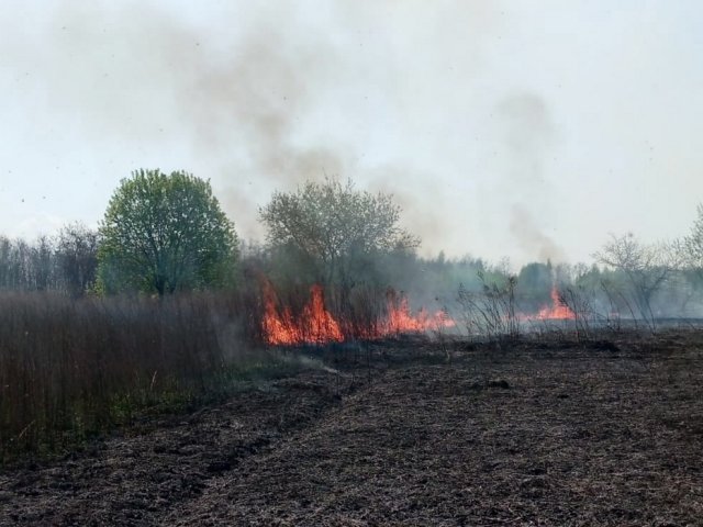 В Железногорском районе Курской области три раза за вечер тушили траву