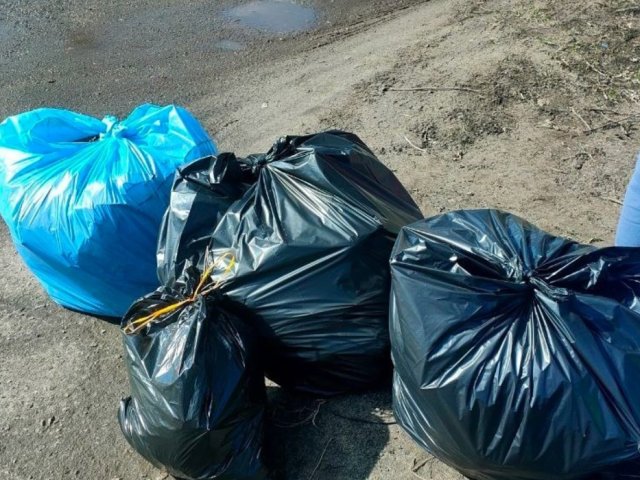 Куряне 26 апреля присоединятся к Всероссийскому субботнику