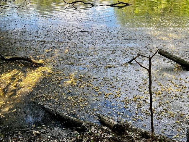 В Курской области отобрали пробы воды в месте