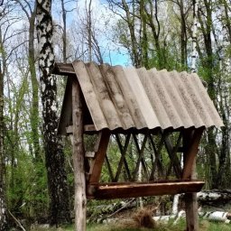 В Курской области с начала года для диких животных выложили 2,5 тонны соли В Курской области с начала года для диких животных выложили 2,5 тонны соли