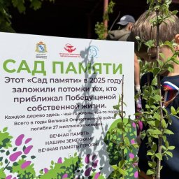 В Курске около перинатального центра появился Сад памяти В Курске около перинатального центра появился Сад памяти