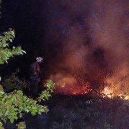 В Курской области за сутки потушили 9 пожаров