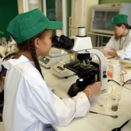 Курянам рассказали о реализации национального проекта «Молодёжь и дети»