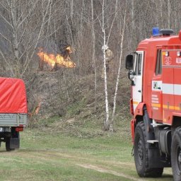 Курянам напомнили о противопожарной кампании «Останови огонь!»