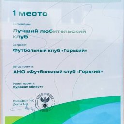 ФК «Горький» из Курска победил в конкурсе «Россия-футбольная страна»