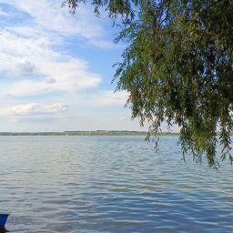 В Курской области рыбаки спасли тонущего 7-летнего мальчика