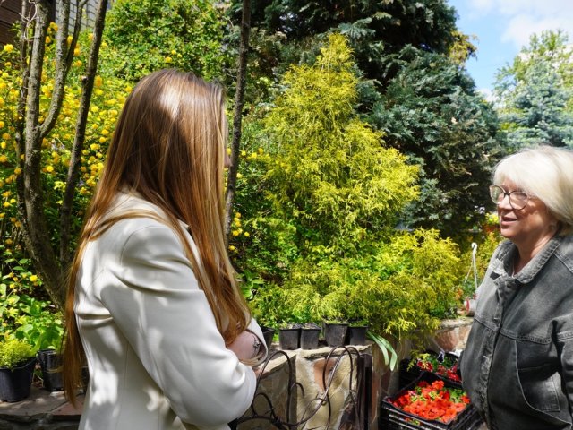 Анна Коновалова рассказала о сорте цитрусовых «Курский лимон»