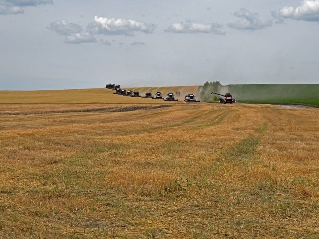 5 курских сельхозпредприятий получили субсидии на практику студентов