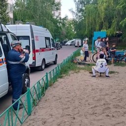 В Курске семилетняя девочка застряла ногой в перилах детской горки В Курске семилетняя девочка застряла ногой в перилах детской горки