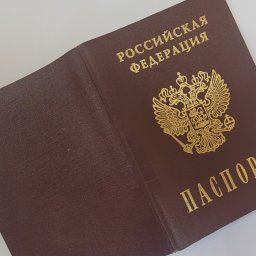 С августа 2024 года около 1,8 тысячи курян из приграничья обратились за паспортами
