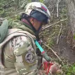 За день пиротехники обезвредили в курском приграничье более 200 взрывоопасных предметов За день пиротехники обезвредили в курском приграничье более 200 взрывоопасных предметов