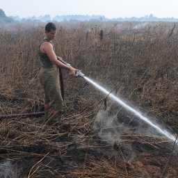 В Курской области за сутки зарегистрировано 8 пожаров В Курской области за сутки зарегистрировано 8 пожаров