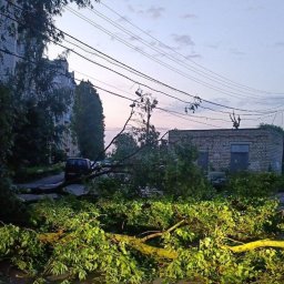 В Железногорске Курской области устраняют последствия урагана В Железногорске Курской области устраняют последствия урагана