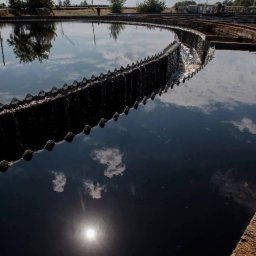 В Курске продолжают разбираться с запахом канализации