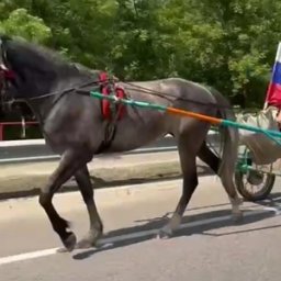 Праздник Троицы в Курской области начался с конных забегов