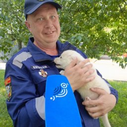 Щенячий патруль: в АСС Курской области появилась новая сотрудница Щенячий патруль: в АСС Курской области появилась новая сотрудница