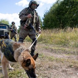 В Курской области увеличили группировку по разминированию