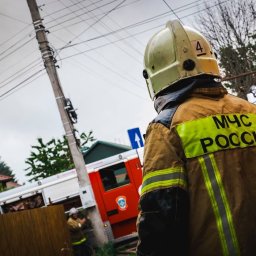 В Курской области за сутки обезвредили более 100 взрывоопасных предметов В Курской области за сутки обезвредили более 100 взрывоопасных предметов