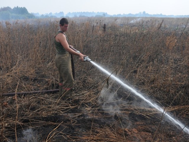В Курской области за сутки зарегистрировано 8 пожаров