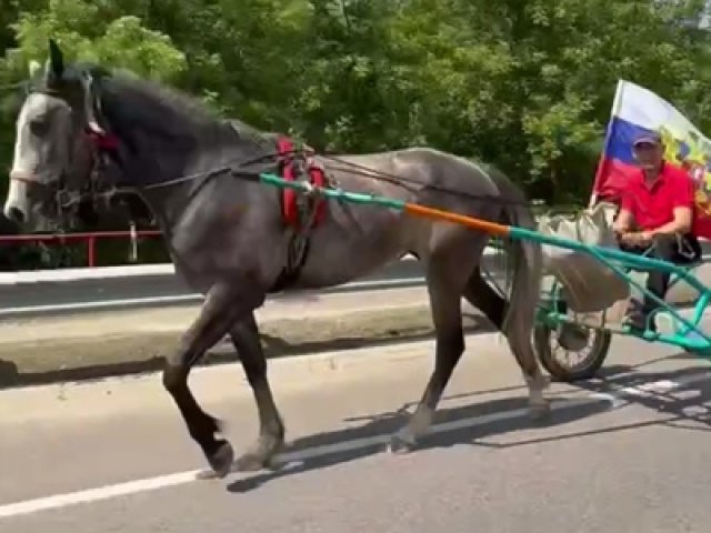 Праздник Троицы в Курской области начался с конных забегов