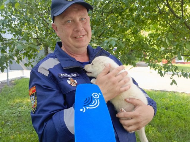 Щенячий патруль: в АСС Курской области появилась новая сотрудница