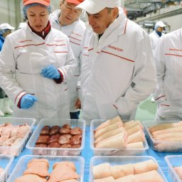 Александр Хинштейн осмотрел мясоперерабатывающий завод под Курском