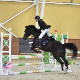 Куряне завоевали 6 медалей на чемпионате и первенстве ЦФО по конкуру