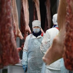 Курская область в 2 раза увеличила экспорт мясной продукции во Вьетнам