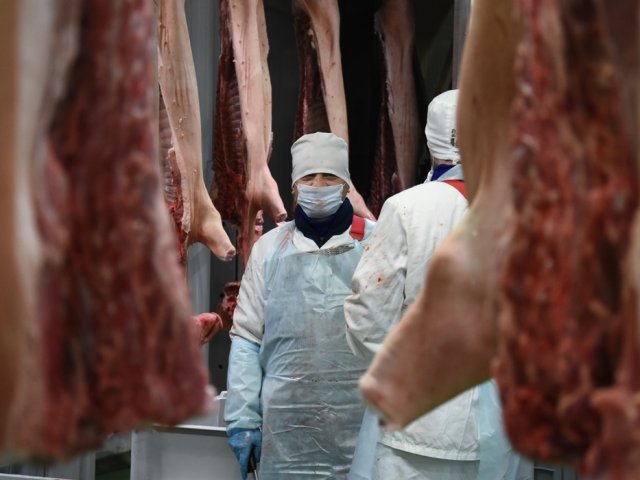 Из Курской области в Гонконг за полгода отправили 700 тонн мясной продукции