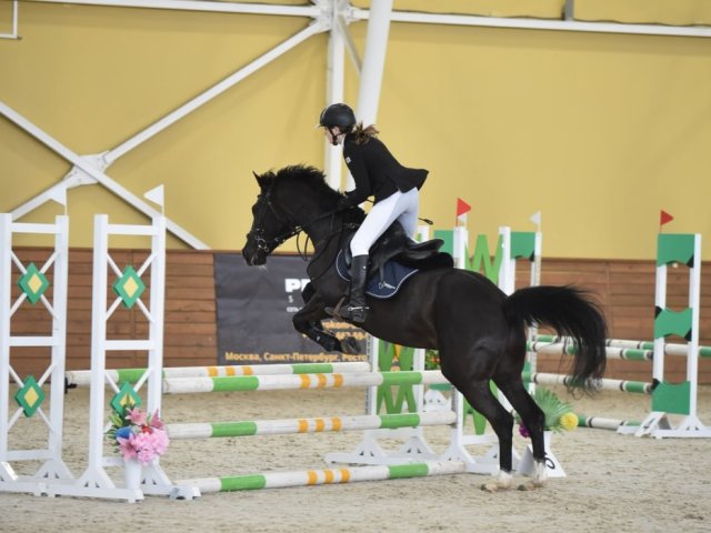 Куряне завоевали 6 медалей на чемпионате и первенстве ЦФО по конкуру