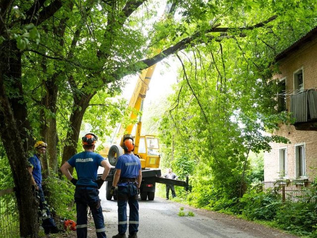 В Курске дерево упало на дом № 25 по улице Обоянской